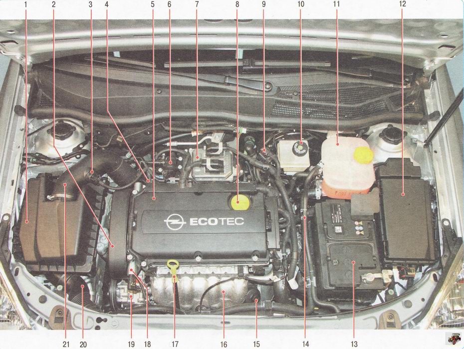 Подкапотное пространство автомобиля Опель Астра Н с двигателем 1,6 л Z16XER (вид сверху)